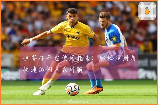 世界杯平台使用指南：轻松注册与快速访问方式详解