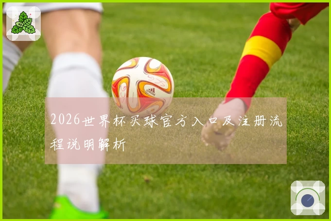 2026世界杯买球官方入口及注册流程说明解析