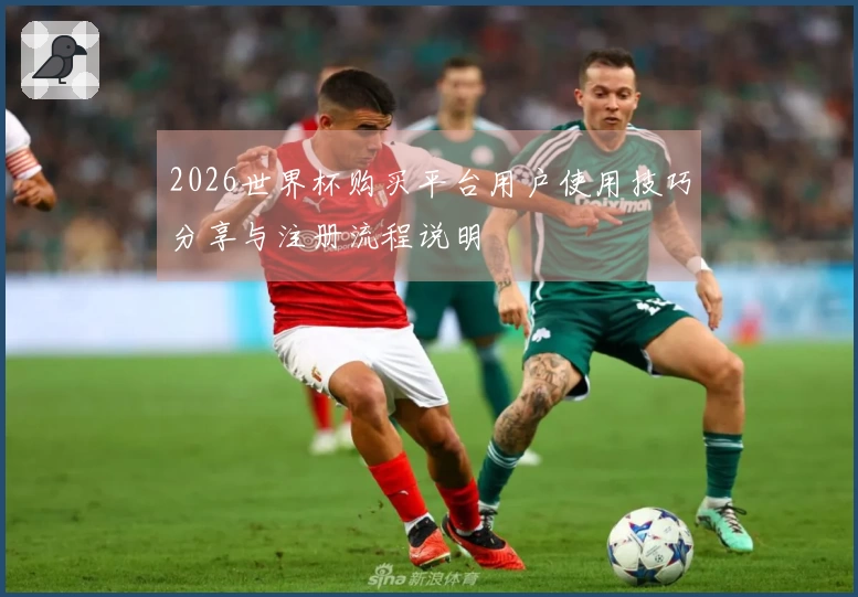 2026世界杯购买平台用户使用技巧分享与注册流程说明