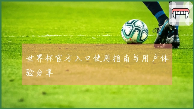 世界杯官方入口使用指南与用户体验分享