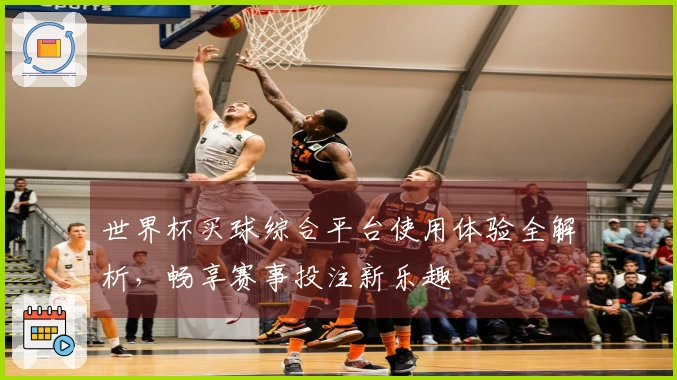 世界杯买球综合平台使用体验全解析，畅享赛事投注新乐趣