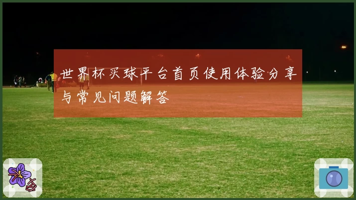 世界杯买球平台首页使用体验分享与常见问题解答