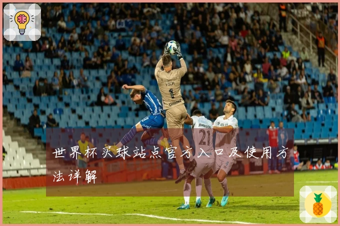 世界杯买球站点官方入口及使用方法详解