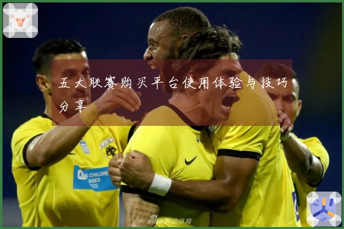 五大联赛购买平台使用体验与技巧分享