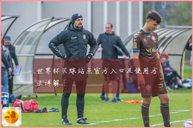 世界杯买球站点官方入口及使用方法详解