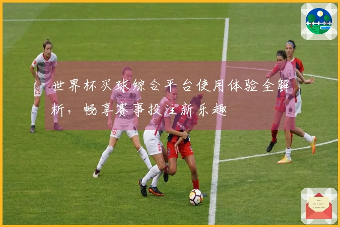 世界杯买球综合平台使用体验全解析，畅享赛事投注新乐趣