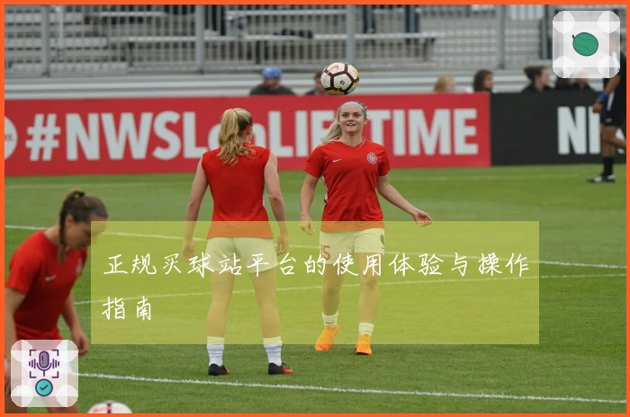 正规买球站平台的使用体验与操作指南