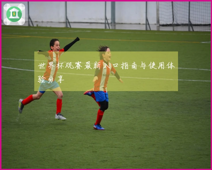 世界杯观赛最新入口指南与使用体验分享